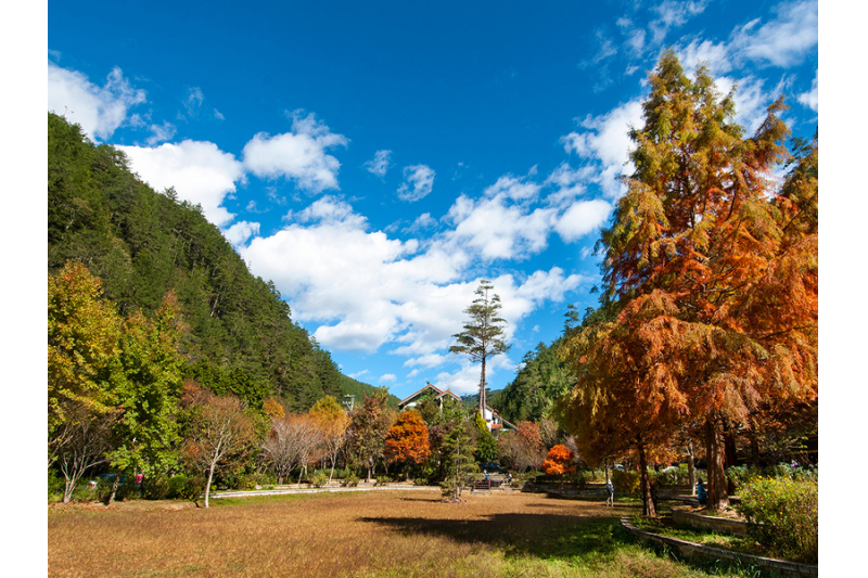 Wuling Farm