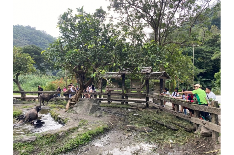 Touchen Leisure Farm - Yilan